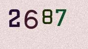 Visual Confirmation Security Code