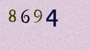 Visual Confirmation Security Code
