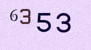 Visual Confirmation Security Code