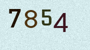 Visual Confirmation Security Code