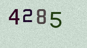 Visual Confirmation Security Code