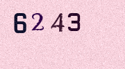 Visual Confirmation Security Code