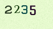 Visual Confirmation Security Code