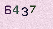 Visual Confirmation Security Code