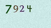 Visual Confirmation Security Code