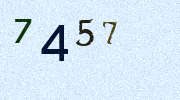 Visual Confirmation Security Code