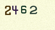 Visual Confirmation Security Code