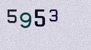 Visual Confirmation Security Code