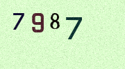 Visual Confirmation Security Code