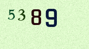 Visual Confirmation Security Code