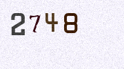Visual Confirmation Security Code