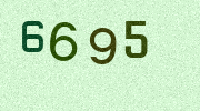 Visual Confirmation Security Code