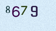 Visual Confirmation Security Code