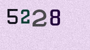 Visual Confirmation Security Code