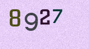 Visual Confirmation Security Code