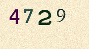 Visual Confirmation Security Code