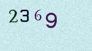Visual Confirmation Security Code
