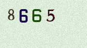 Visual Confirmation Security Code