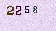 Visual Confirmation Security Code