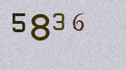 Visual Confirmation Security Code