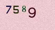 Visual Confirmation Security Code