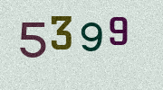 Visual Confirmation Security Code