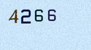 Visual Confirmation Security Code