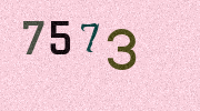 Visual Confirmation Security Code