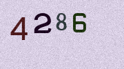 Visual Confirmation Security Code
