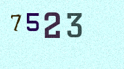 Visual Confirmation Security Code