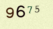 Visual Confirmation Security Code