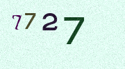 Visual Confirmation Security Code