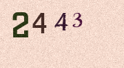 Visual Confirmation Security Code