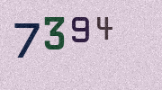 Visual Confirmation Security Code