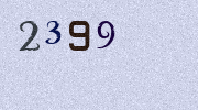 Visual Confirmation Security Code