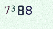 Visual Confirmation Security Code