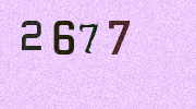 Visual Confirmation Security Code