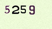 Visual Confirmation Security Code