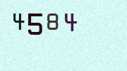 Visual Confirmation Security Code