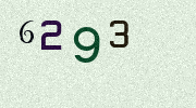 Visual Confirmation Security Code