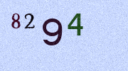 Visual Confirmation Security Code