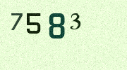 Visual Confirmation Security Code