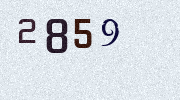Visual Confirmation Security Code