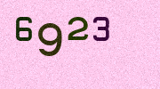 Visual Confirmation Security Code