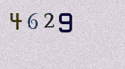 Visual Confirmation Security Code
