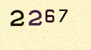 Visual Confirmation Security Code