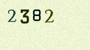 Visual Confirmation Security Code
