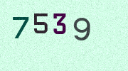 Visual Confirmation Security Code