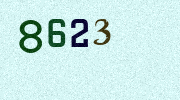Visual Confirmation Security Code