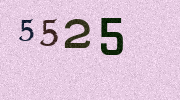 Visual Confirmation Security Code